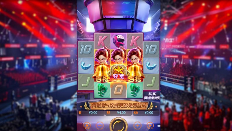 拳击玫瑰
