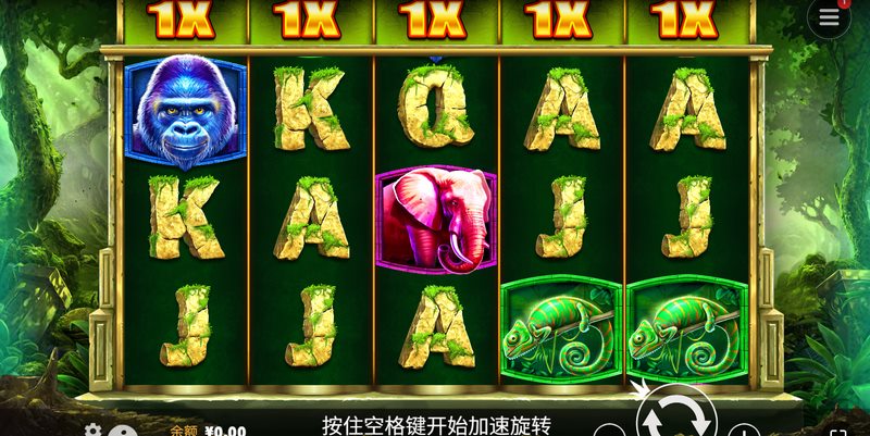 深林之猩