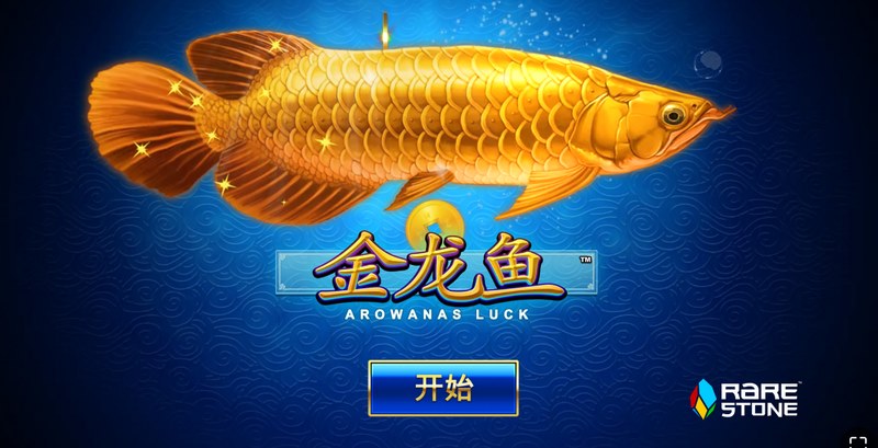 《金龙鱼》——开启财富与冒险的传奇之旅 金龙鱼