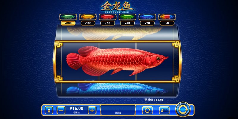 《金龙鱼》——开启财富与冒险的传奇之旅 金龙鱼是什么游戏呢?